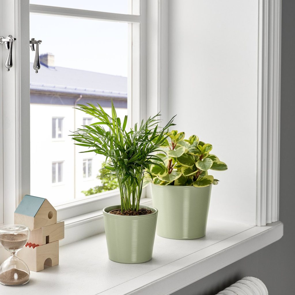 BROKSPIREA cache-pot