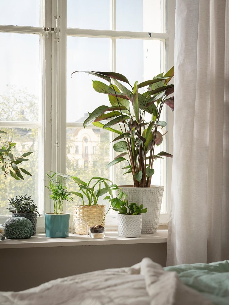 CHIAFRÖN cache-pot