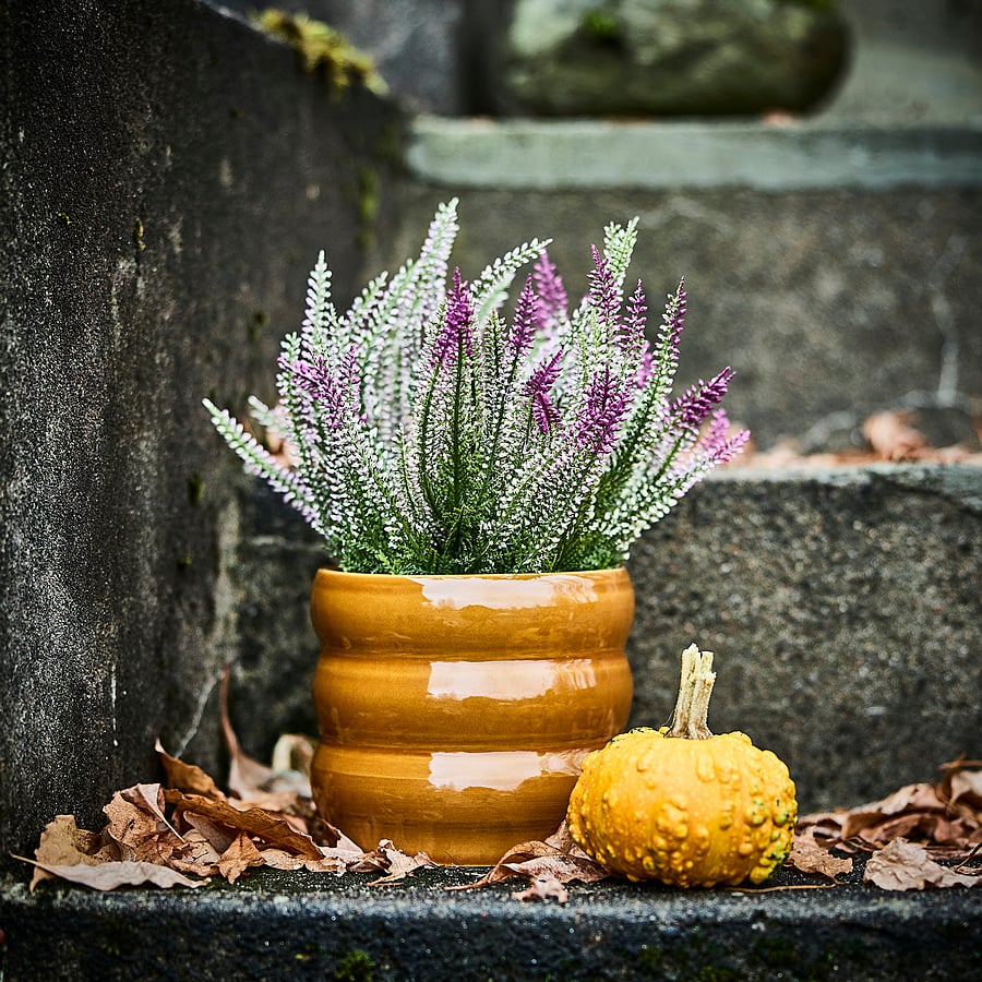 HASSELBUKETT cache-pot