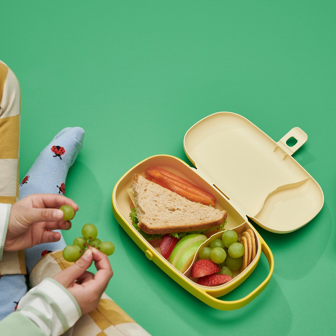 KAPTENSFISK boîte repas