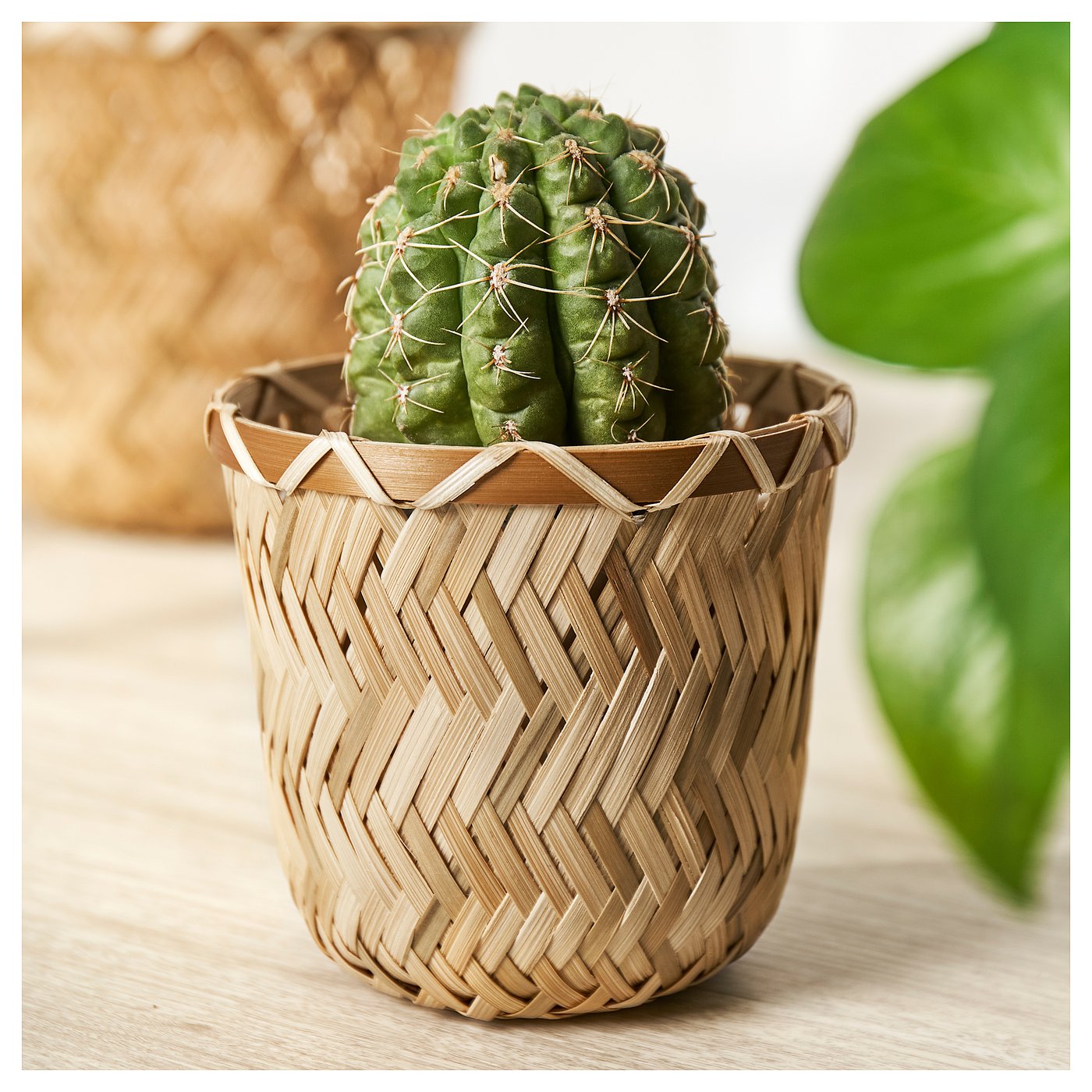 KLYNNON cache-pot