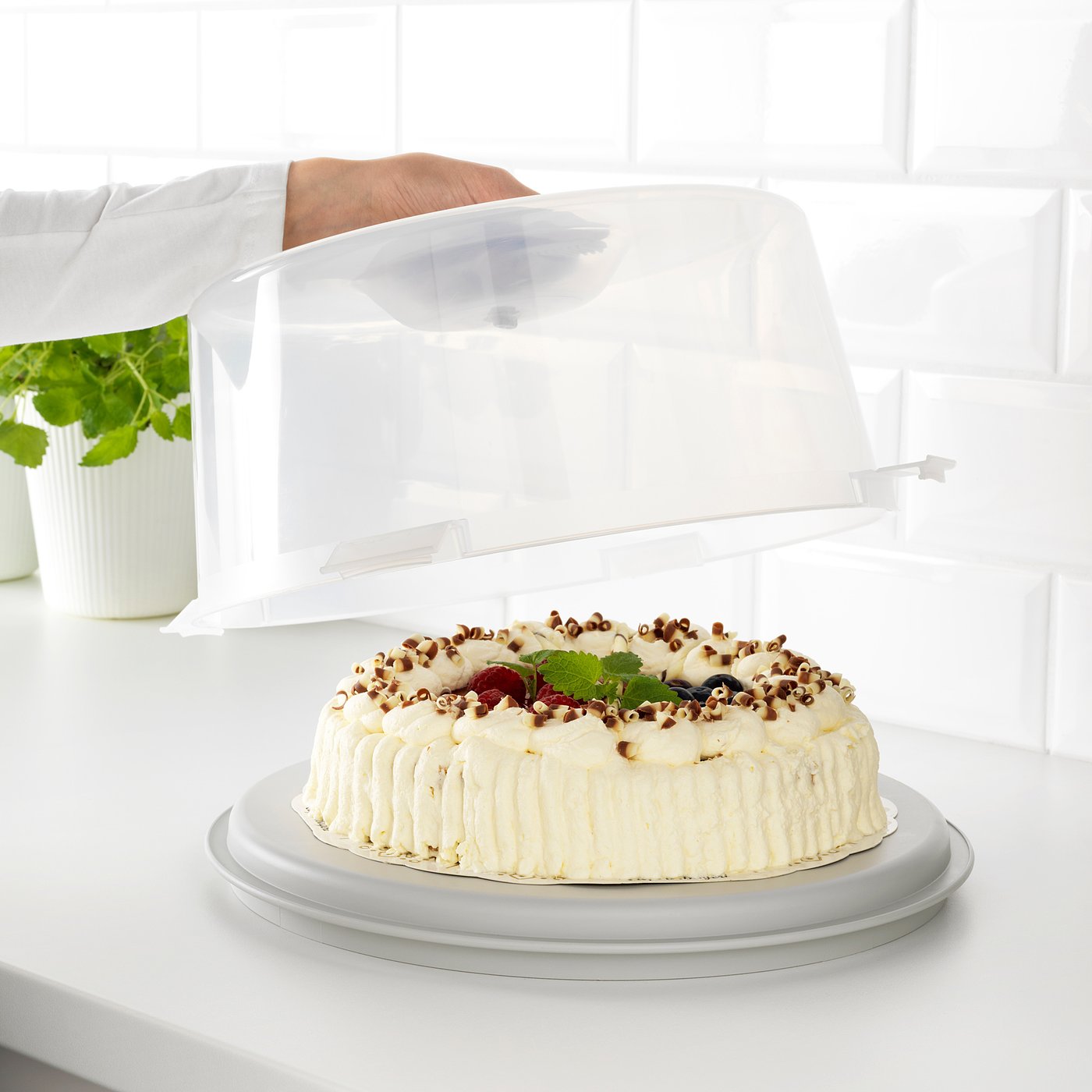 KRISPIG boîte à gâteau