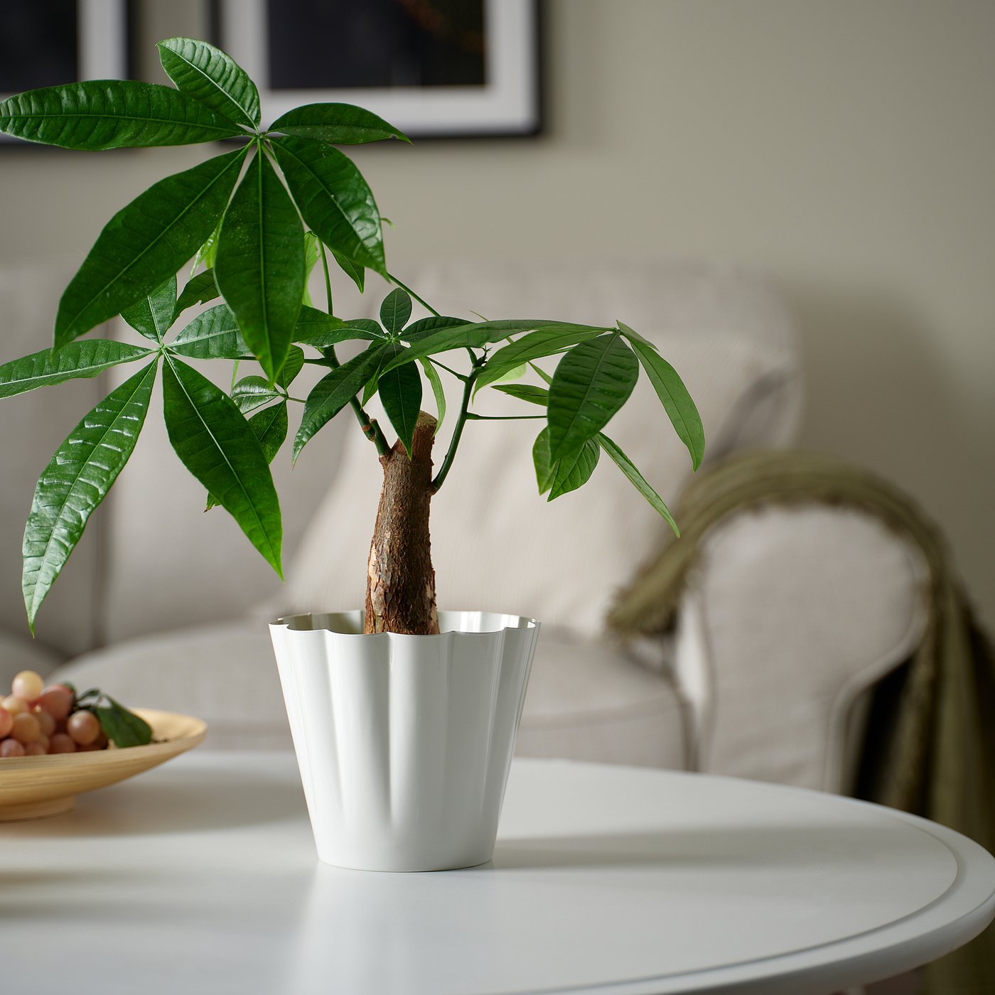 KVASTSPIREA cache-pot