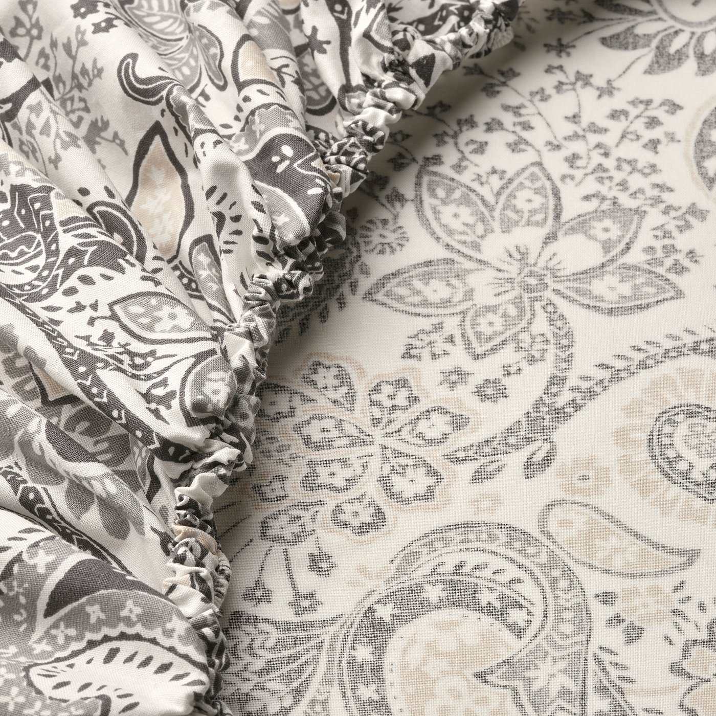 RODGERSIA drap housse