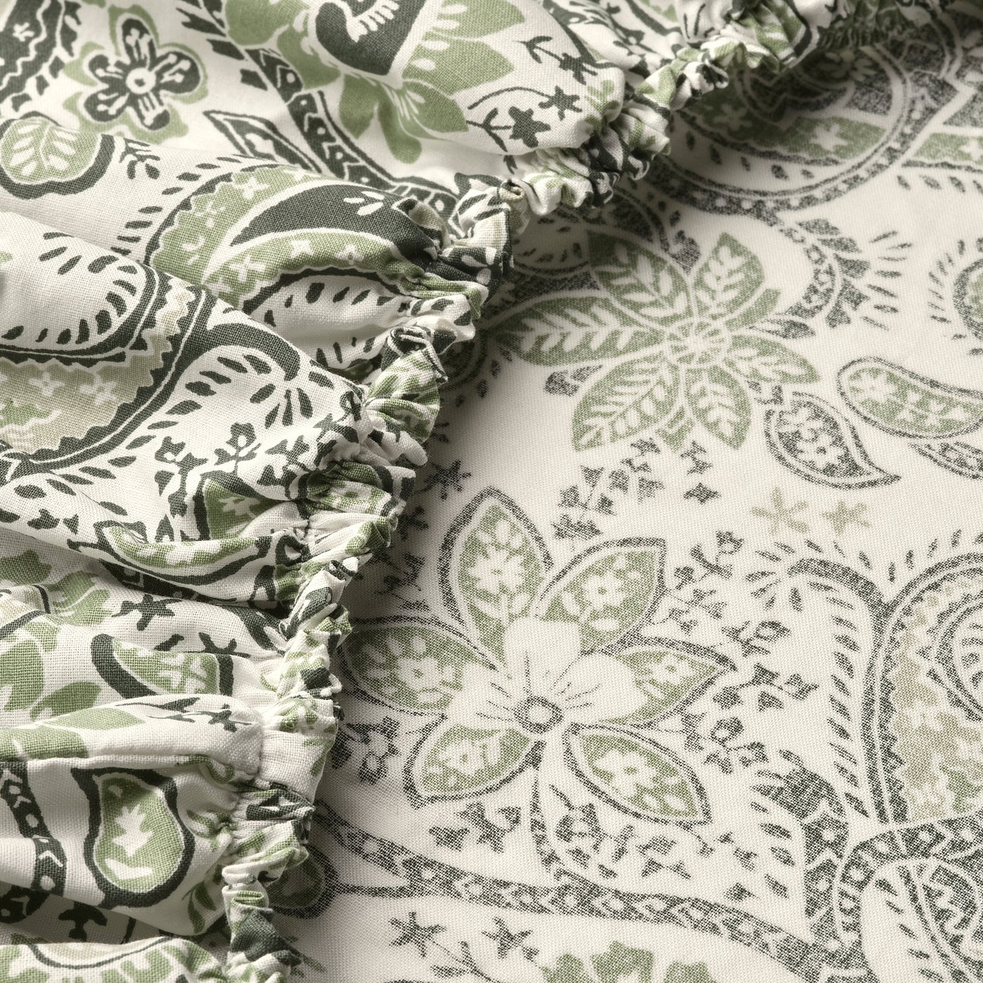 RODGERSIA drap housse