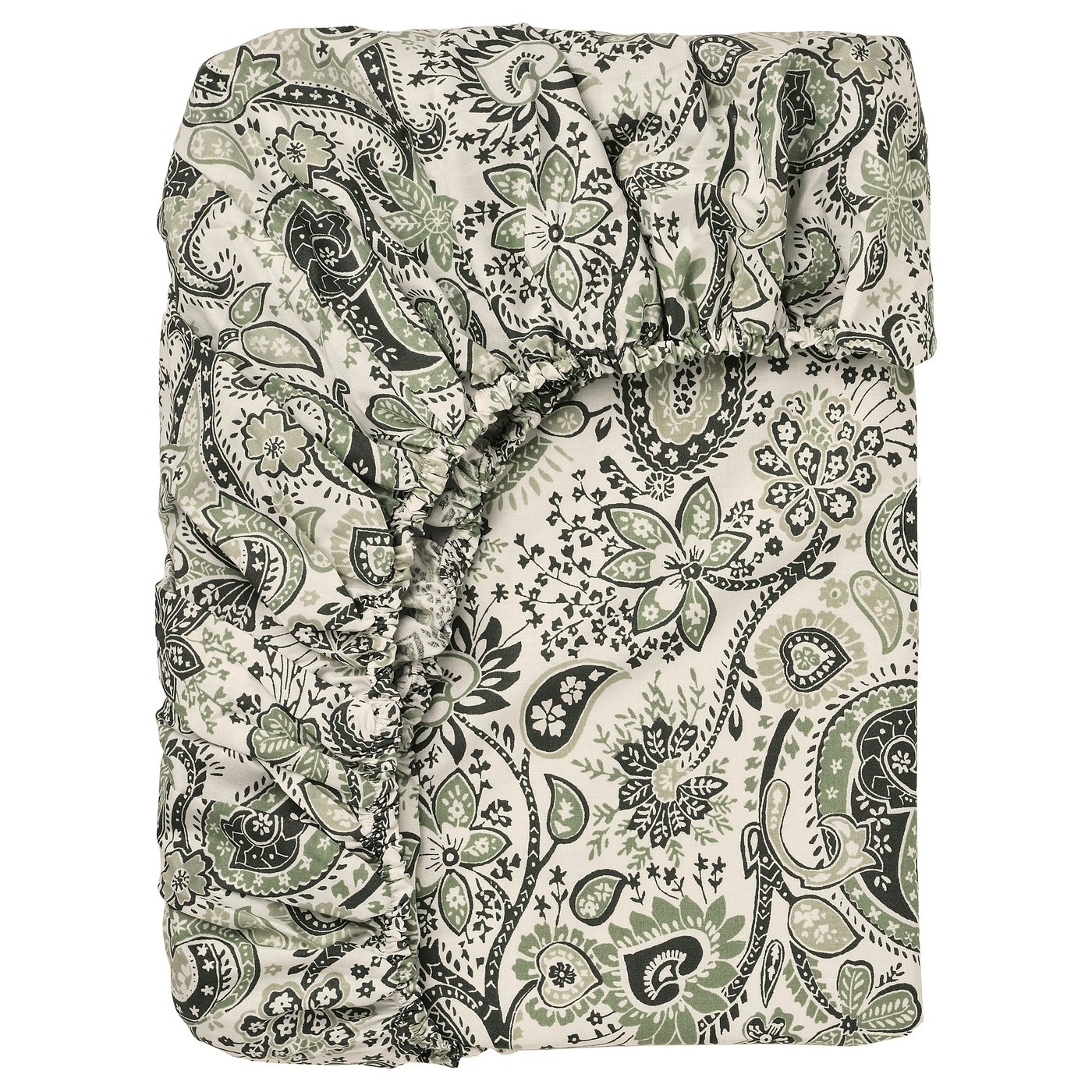 RODGERSIA drap housse