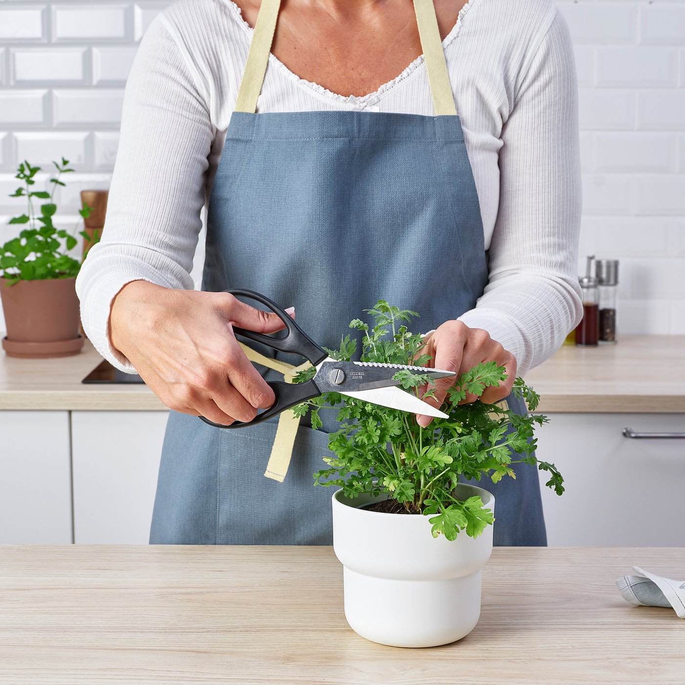 SVARTFISK ciseaux de cuisine