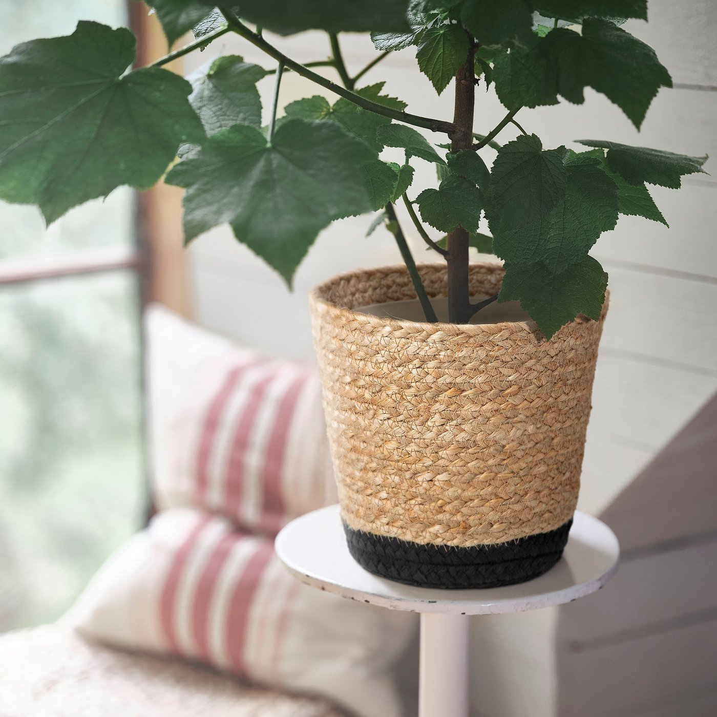 TÄRNMÅS cache-pot