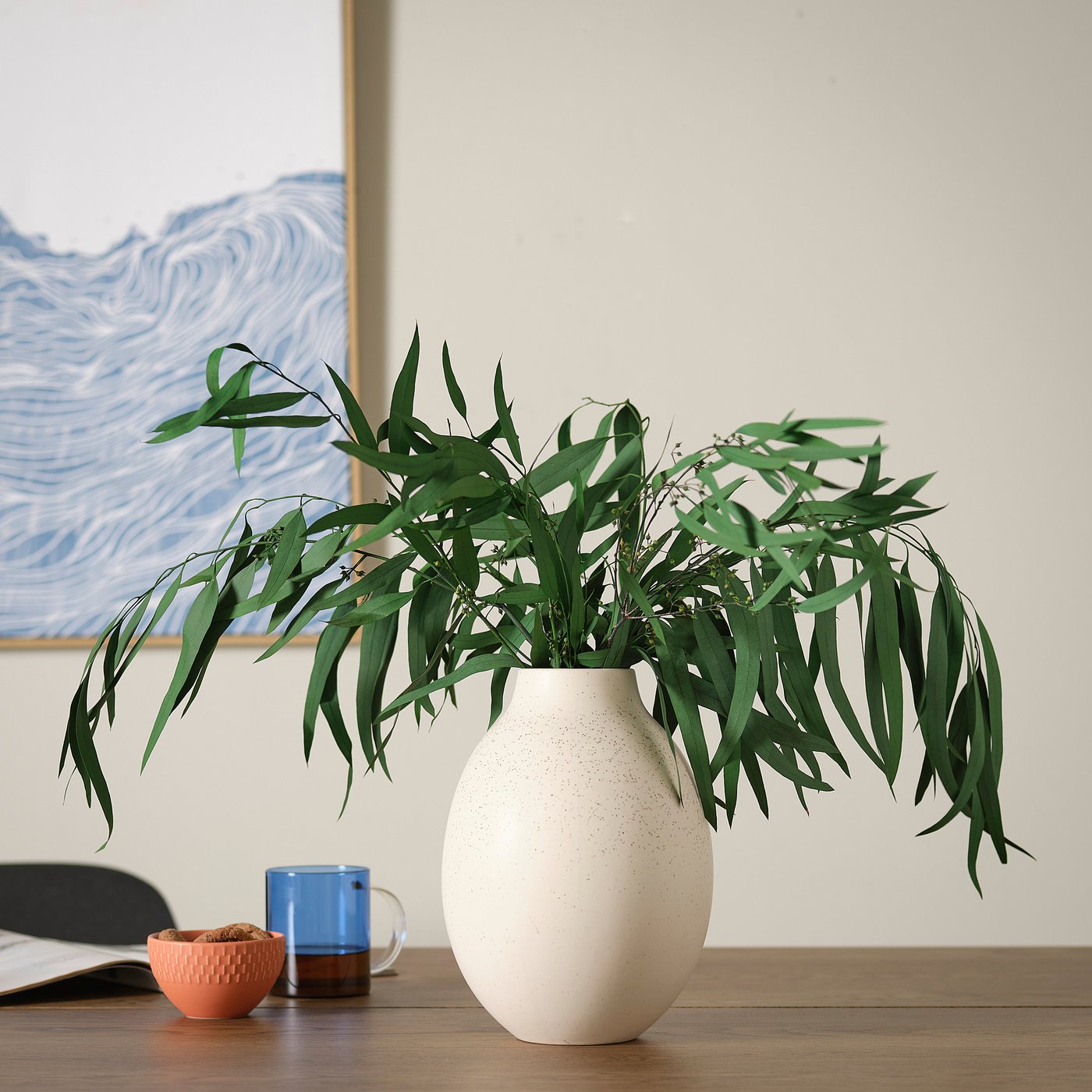 TORKA plantes séchées