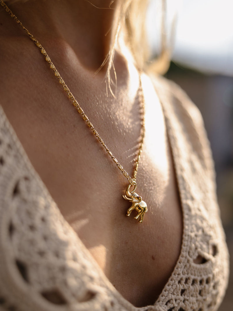 Motions Kette