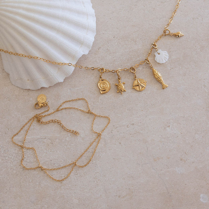 Shore Kette
