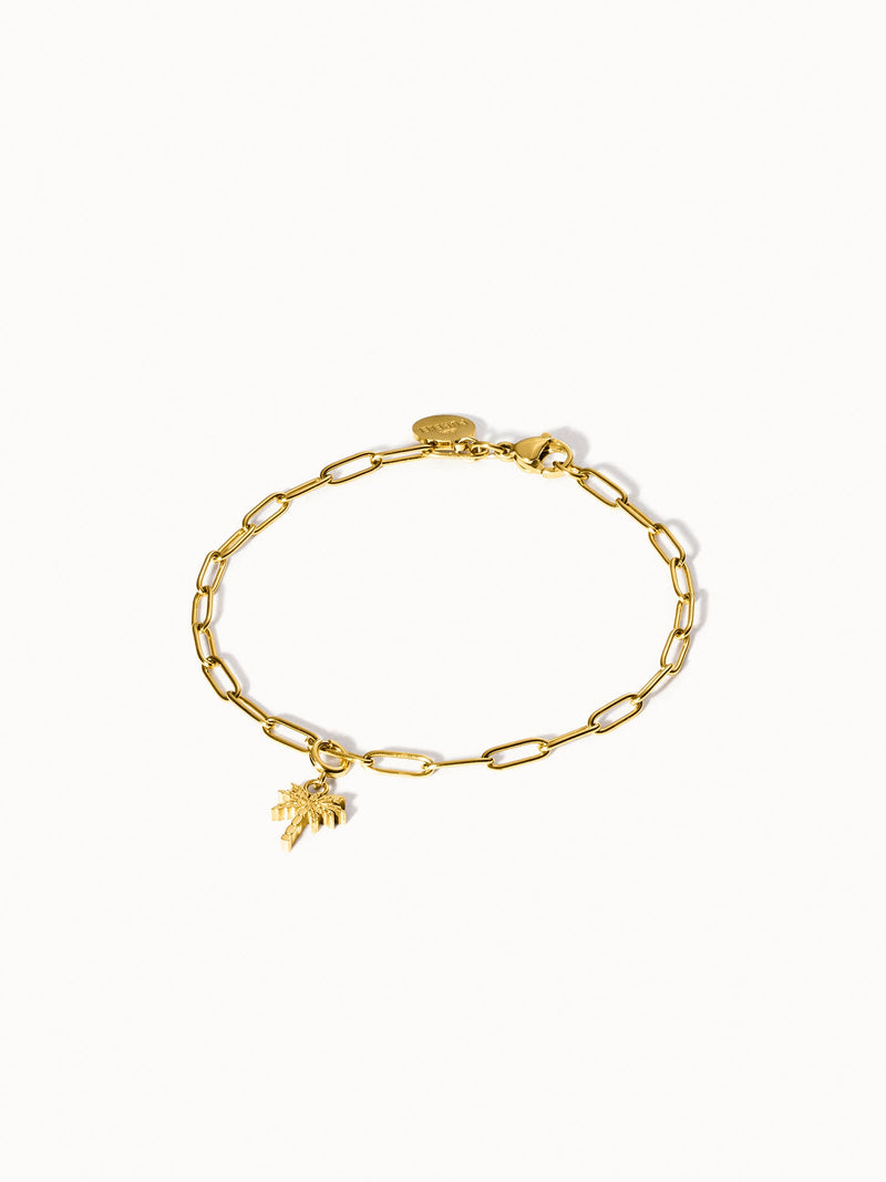 Flex Palmen Charm