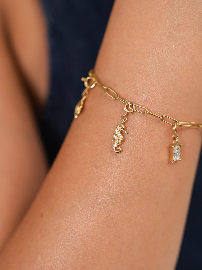 Flex Seepferdchen Charm