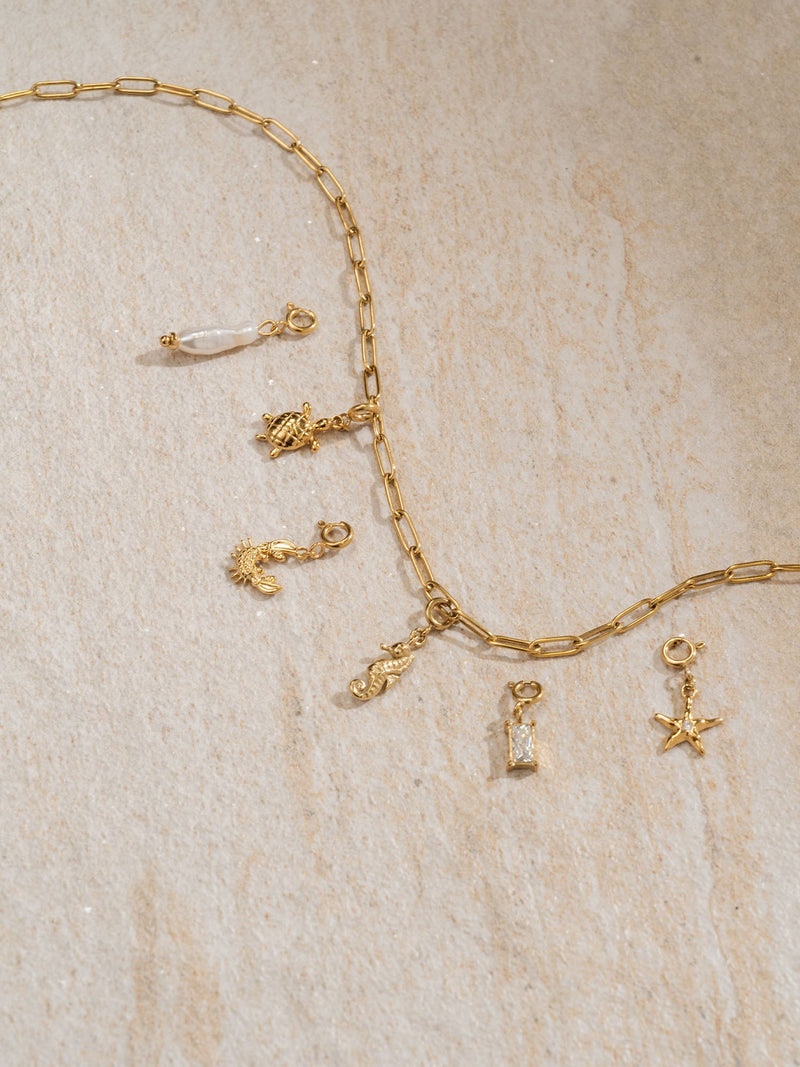 Flex Seestern Charm
