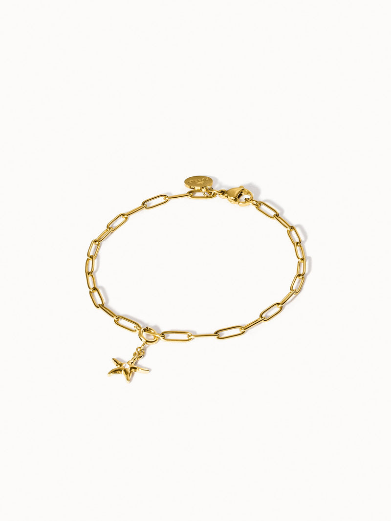 Flex Seestern Charm