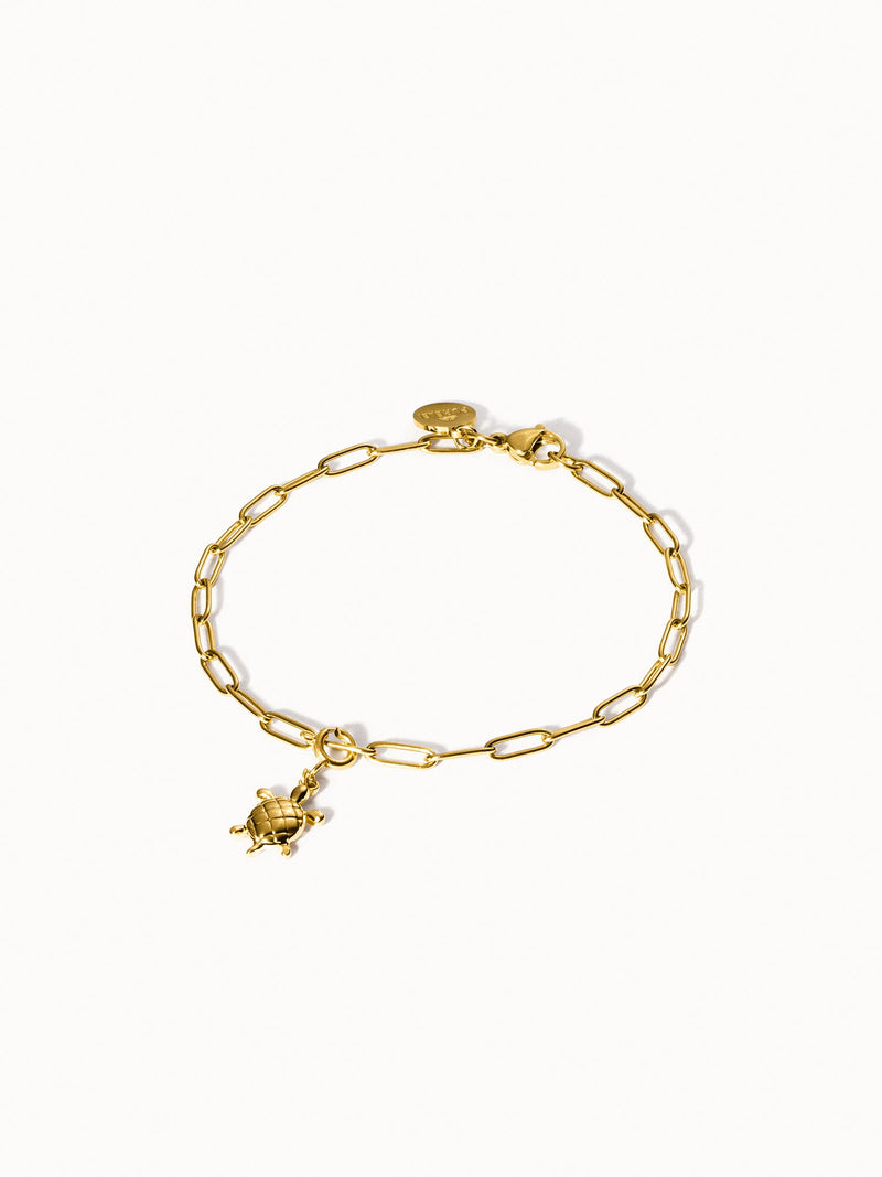 Flex Schildkröten Charm
