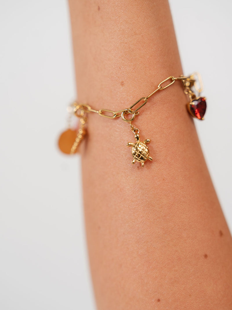 Flex Schildkröten Charm