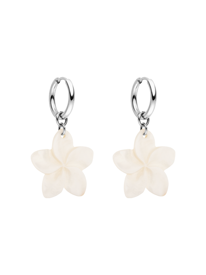 Shiny Plumeria Creole