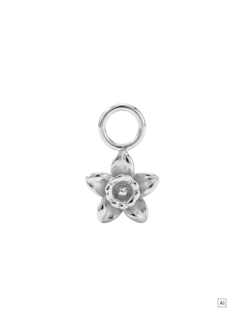 Nazisse Ohrring-Charm
- Geburtsblume Dezember