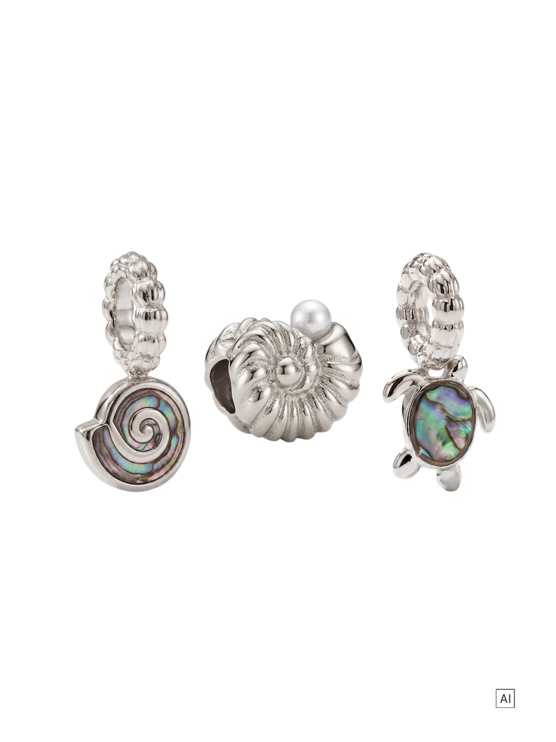 Abalone Charm Set